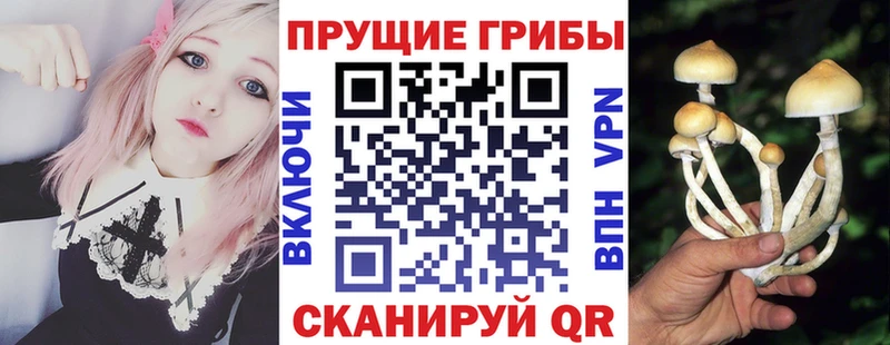Галлюциногенные грибы мицелий  Казань 
